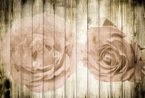 roses on wood wood roses