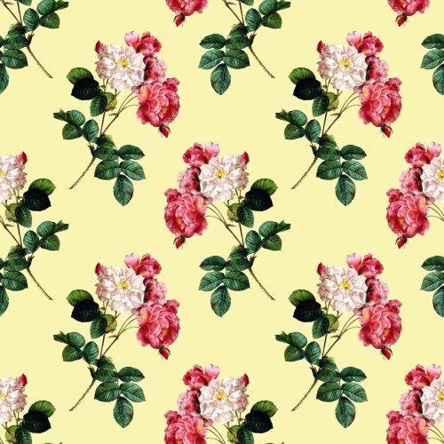 Roses Vintage Wallpaper Background