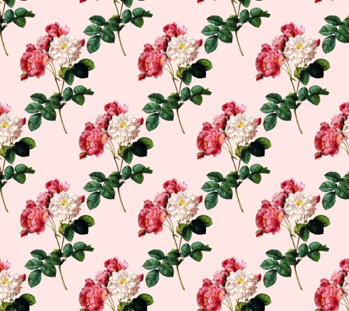 Roses Vintage Wallpaper Pattern