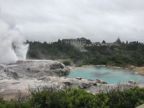 rotorua new zealand geyser