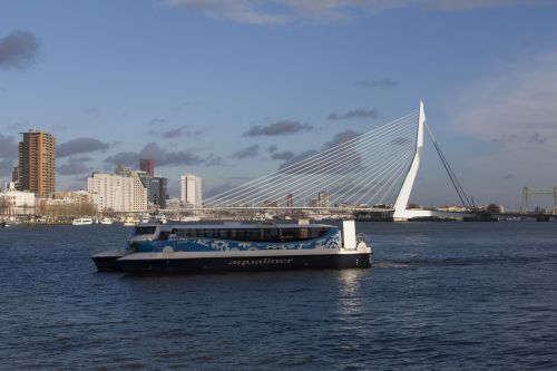 rotterdam mesh erasmus bridge