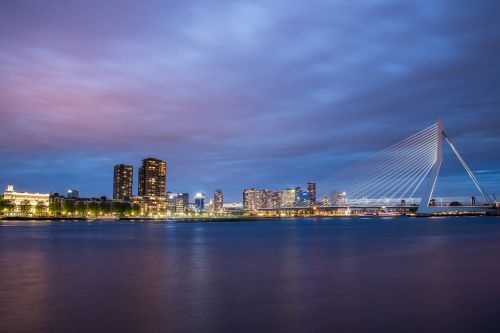 rotterdam skyline bridge