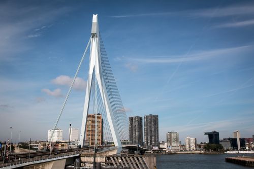 rotterdam bridge city