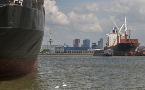 rotterdam port boat