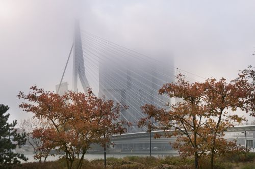 rotterdam fog erasmus bridge