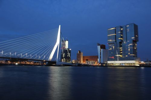 rotterdam city bridge
