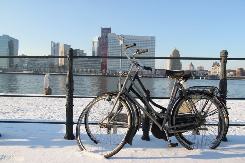 rotterdam mesh cycling