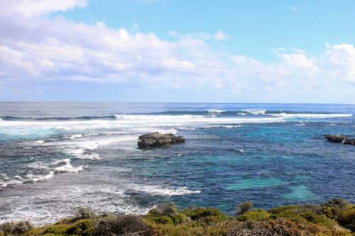 rottness island perth sea