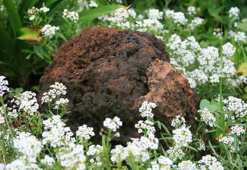 Rough Rock Surrounded By Flowers