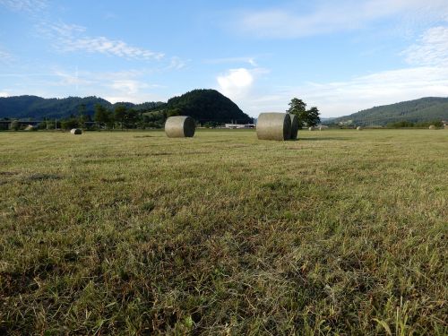 round bales pasture agriculture