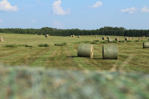 Round Hay Bale Farm