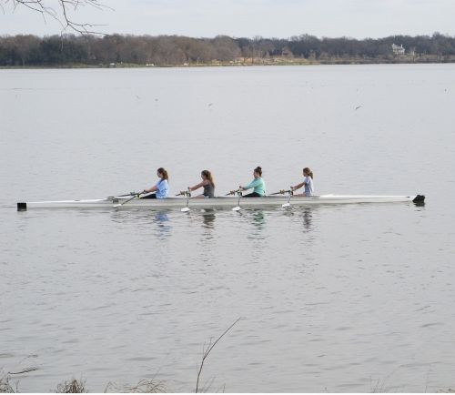 rowing scull club