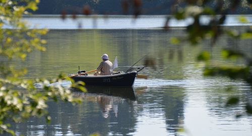 rottachsee rowing boat fish