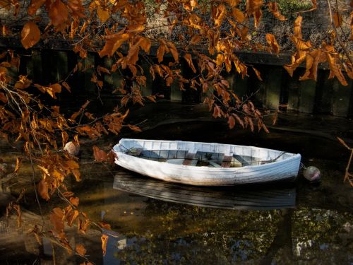 rowing boat white boat water