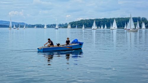 rowing boat rowing sailing boat