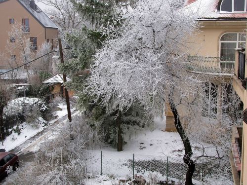 royal street winter trees