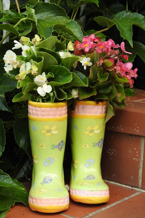 rubber boots  begonias  pot