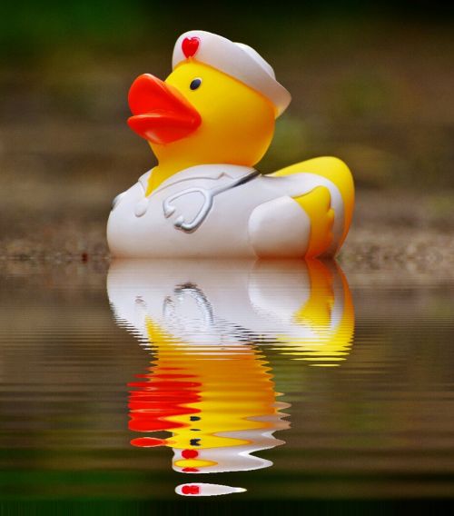 rubber duck bath duck mirroring