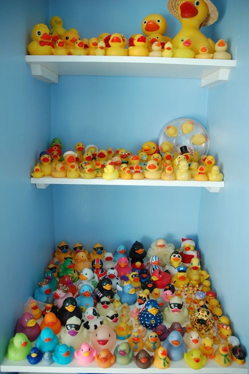 rubber duck collection yellow ducks
