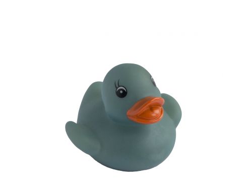 rubber duck duck blue