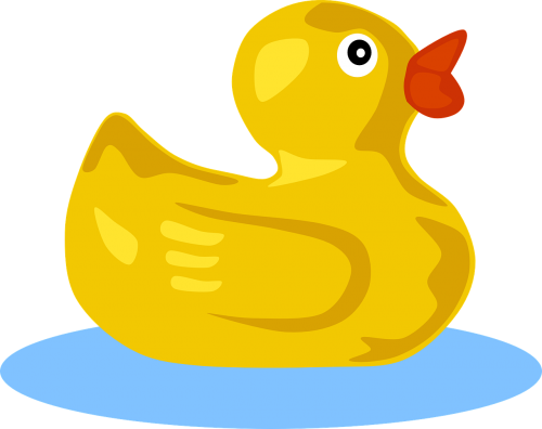 rubber duck toy bath