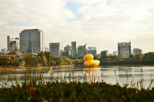 rubber duck sky river