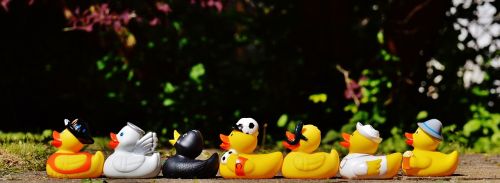 rubber ducks bath ducks fun bathing