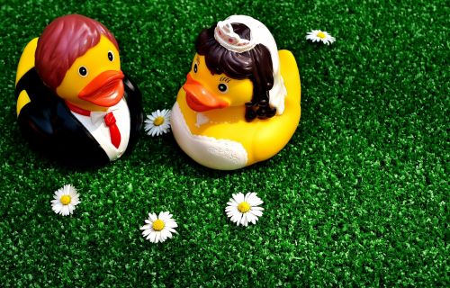 rubber ducks wedding bride and groom