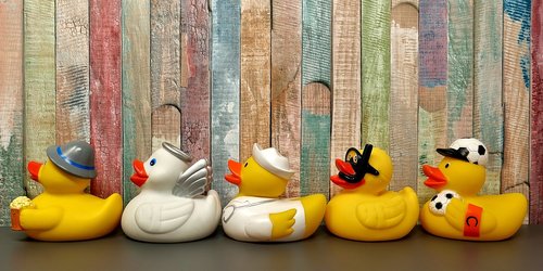 rubber ducks  bath ducks  fun bathing