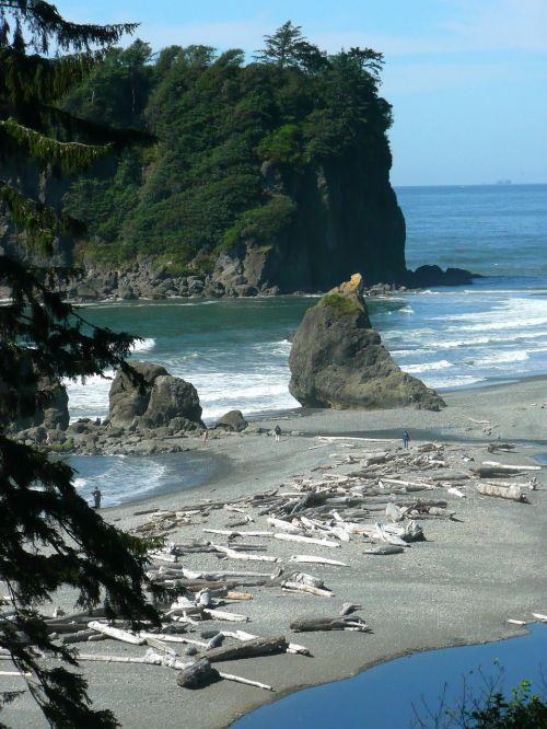 ruby beach olympic national park washington