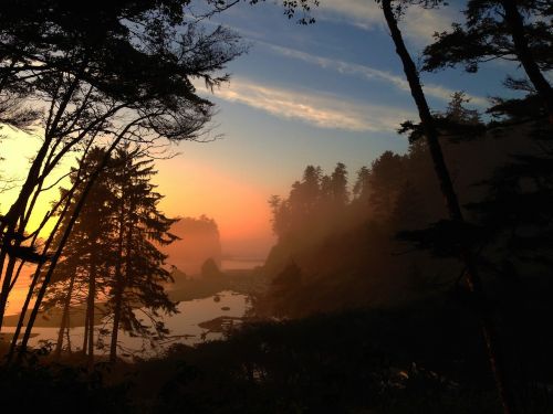 ruby beach beach sea