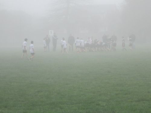 rugby fog sport