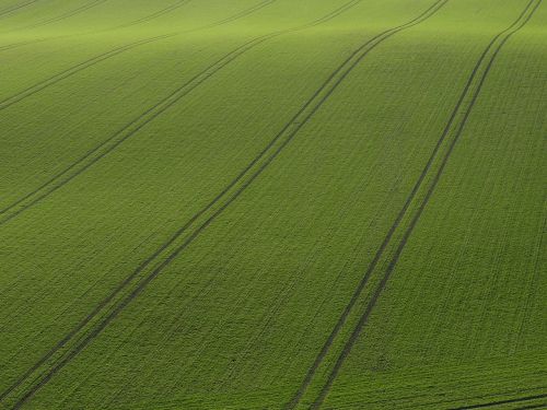 rügen field arable