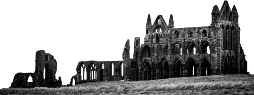 ruin abbey vault