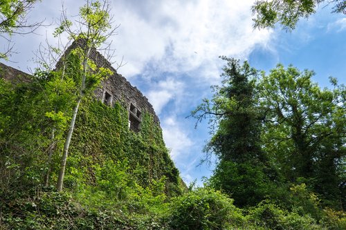 ruin  burgruine  masonry