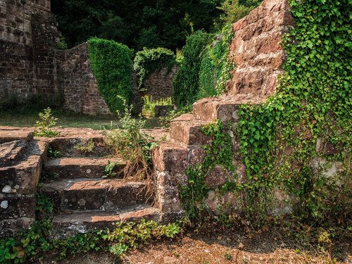 ruin  burgruine  castle wall