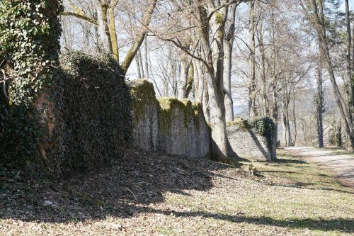 ruin park trees