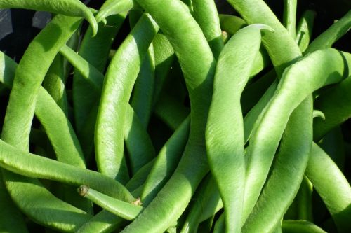 runner beans vegetable beans