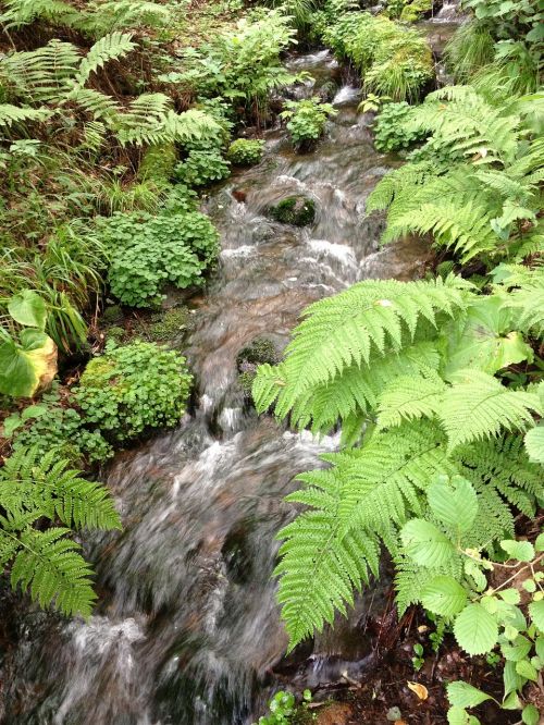 running water water brook