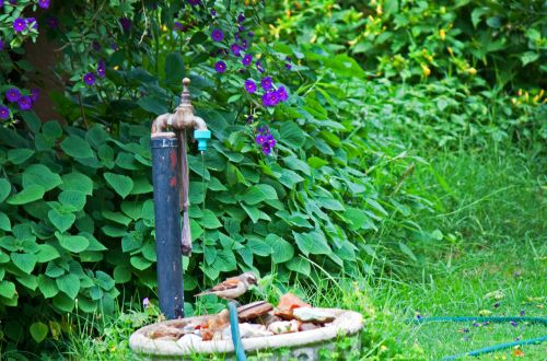 Running Water From Garden Tap