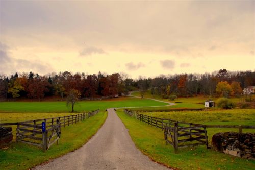 rural landscape fence