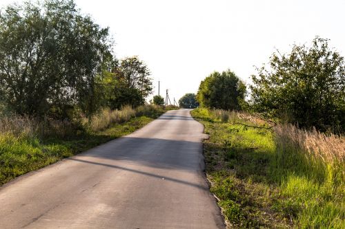 rural road wilderness