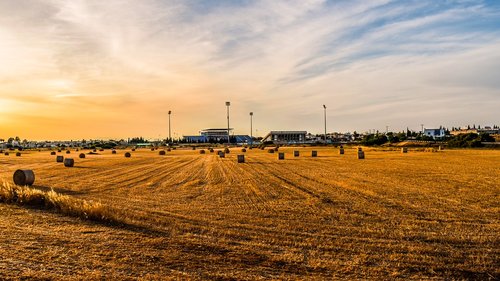 rural  countryside  hayfield