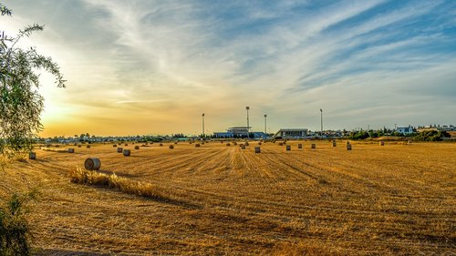 rural  countryside  hayfield