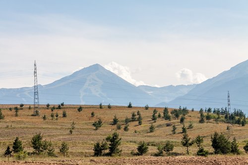 rural  landscape  nature