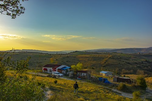 rural  landscape  nature