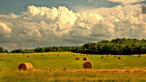rural  farm  countryside