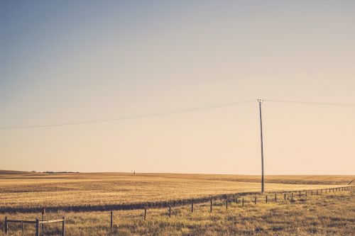 rural fields grass