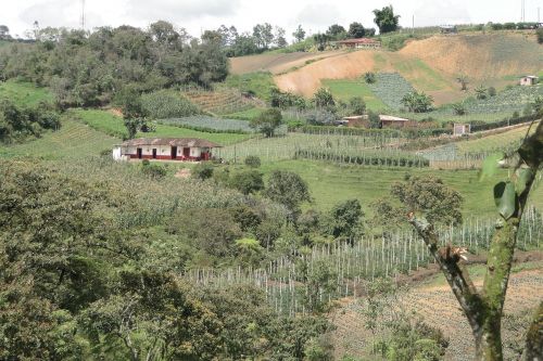 rural harvest landscape