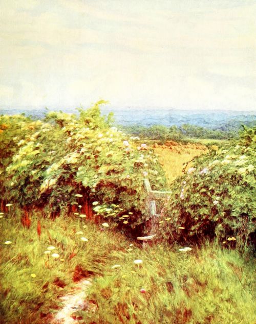 Rural Landscape